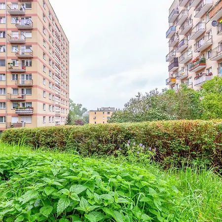 Kraszewskiego Apartment